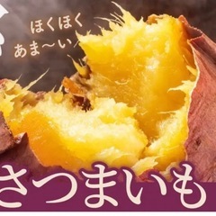 紅はるか】パクパクおやつサイズ3kg 4の画像