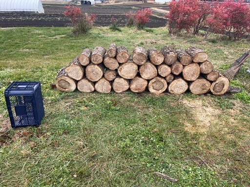 長野県発　薪用　楢玉切り　ナラ　0.8m3