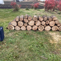 長野県発　薪用　楢玉切り　ナラ　0.8m3