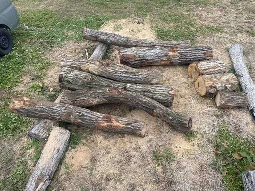 長野県発　薪用　楢玉切り　ナラ　0.8m3