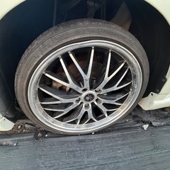 19いんちインチマルチフォルケッタにIIの画像