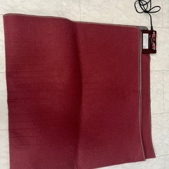 電気カーペットの画像