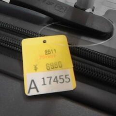 コストコ商品番号　65236　スイスミリタリー SM-C318 18in スーツケース 42L　A17455の画像