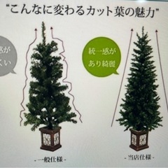 ⭐️🎄クリスマスツリー　240センチ　🎄⭐️ウッドベースツリーの画像