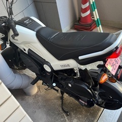 ホンダ NAVI110 実働 希少後期 AT 原付二種 ※今週末限定の画像
