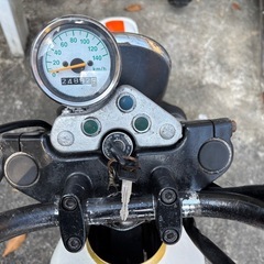 グラストラッカー250 実働ベース車の画像