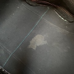 無料❗️洗えるトートバッグの画像