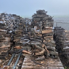 広葉樹　軽トラ山盛り16,000円の画像