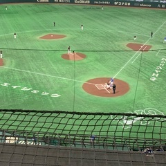 キャッチボール相手募集！