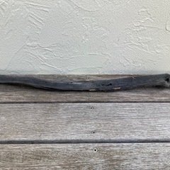 流木の画像