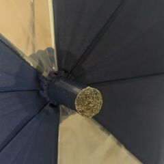 キッズ　55センチ　紺色傘の画像
