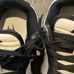 NIKE ダンク　LOW  24.5センチ　スニーカーの画像