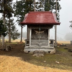 杉の玉切りの画像