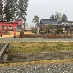 杉の玉切りの画像