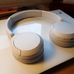 ソニー(SONY) ワイヤレスヘッドホン WH-CH520:Bluetooth対応の画像