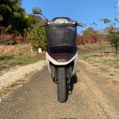 ホンダ タクト AF24 2サイクル 現状レストアベース車の画像