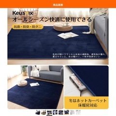 ラグマットの画像