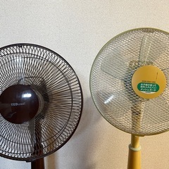 扇風機2個セットの画像