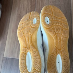 ASAHI　体育館シューズの画像