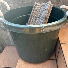 タライ　メダカ　　4つで1200円の画像