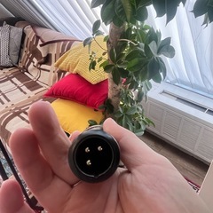 中低音の倍音【AKGダイナミックマイク】の画像