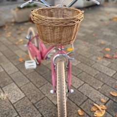 little tokyobike 16インチ　モモの画像