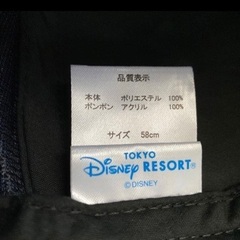 ディズニー帽子　同じもの2個の画像