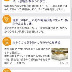 大津毛織ホットテックス新品カーペット特大長方形の画像