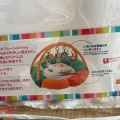 ⚪️ベビープレイジムの画像