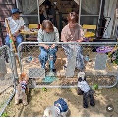 2026 東京(小平)ひよりぺっと パラコード ワークショップの画像