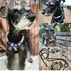 2026 東京(小平)ひよりぺっと パラコード ワークショップの画像