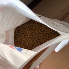 猫用　腎臓病療養食の画像