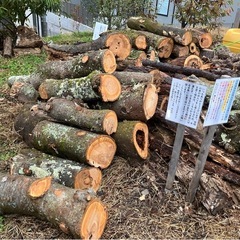 無償で譲ります　薪材・原木・木材の画像