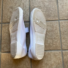 差し上げます。23.5センチの画像