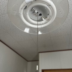 ［決まりました］テレビ、蛍光灯、カーテンなどの画像