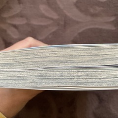 The JOJOLands 1巻、スティール・ボール・ラン1巻の画像