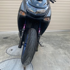 マジェスティsの画像