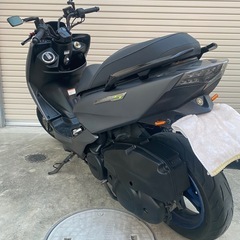 マジェスティsの画像