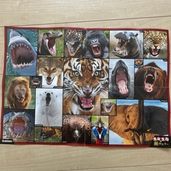 学研　危険生物　アルファベットポスターの画像