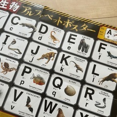 学研　危険生物　アルファベットポスターの画像