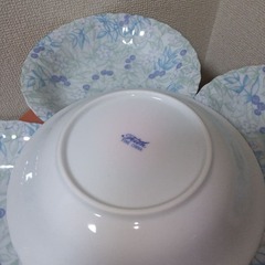 未使用　 Fine China カレー皿 籠付 花ベリー柄オーブン対応スプーン付の画像