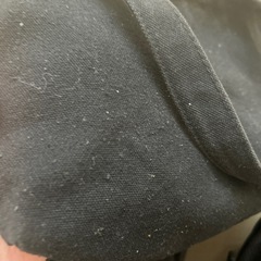 小さめのバッグの画像