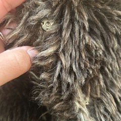 キッズアウターの画像