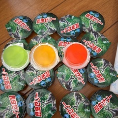 昆虫ゼリー　虫除けシート　カブトムシ　クワガタ　の画像