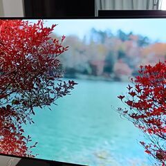 【動画あり】～11/30まで 35000円 → 17000円 エルジー LG OLED55C9PJA  55V 2019年製 55インチ 有機EL テレビ  新品テレビスタンド ユーチューブ アマプラ ネットフリックス等ネット動画視れます！ の画像