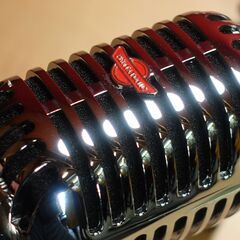 ガイコツマイク+ポケットマイク　赤外線ワイヤレス（カラオケ）マイク仕様の画像