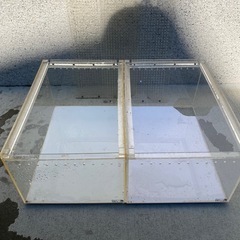爬虫類　飼育ケージ　爬虫類 ケージ レプタイルボックス 飼育 レオパ カナヘビ トカゲ イモリ ヤモリ クモ カエル サソリ アクリル製 透明 スライド蓋 通気穴あり 2個セット　片方ジャンクの画像