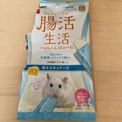 ハムスター　プラスの画像