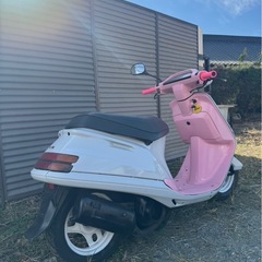 タクト　
AF24 の画像