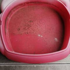 砂遊び用途にの画像